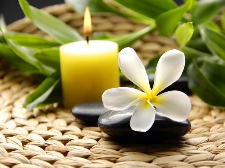 Reflexology provided by Ana Franolic Kitchener